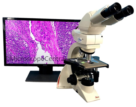 Microscope With Built In Camera Biological Digital Microscopes | Microscope With Camera – Microscope ...