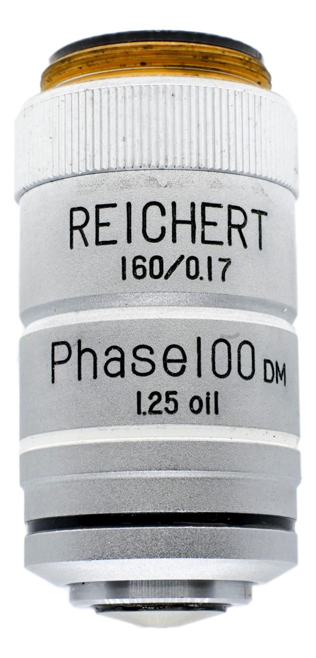 Reichert 100x Phase DM Oil Objective