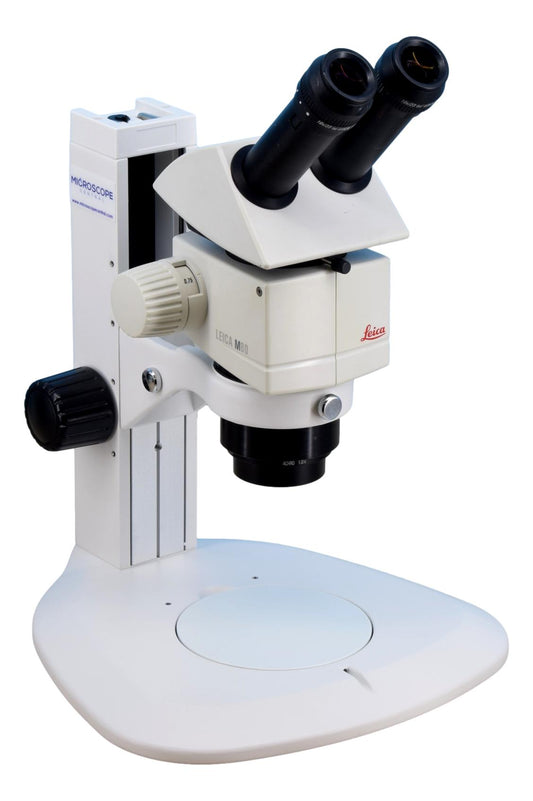 Leica M80 Stereo Zoom Microscope 7.5x - 60x