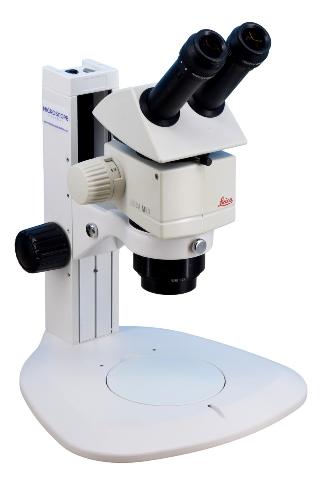 M80 Stereo Zoom Microscope | Refurbished Leica Microscope – Microscope Central
