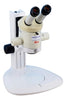 Leica MZ6 StereoZoom Microscope 6.3x - 40x