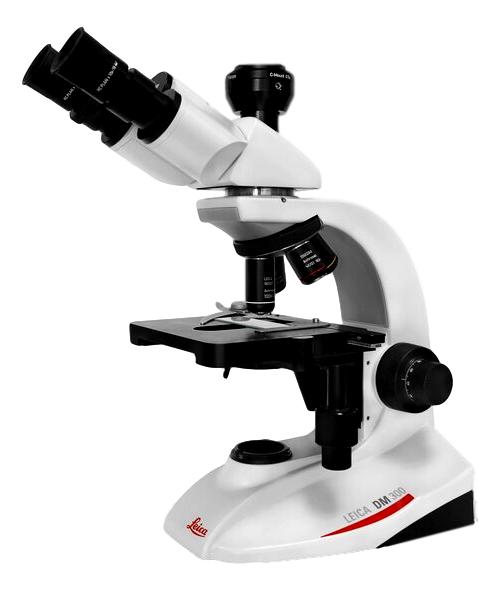 Leica DM300 LED Microscope | Compound Microscope for Sale – Microscope ...