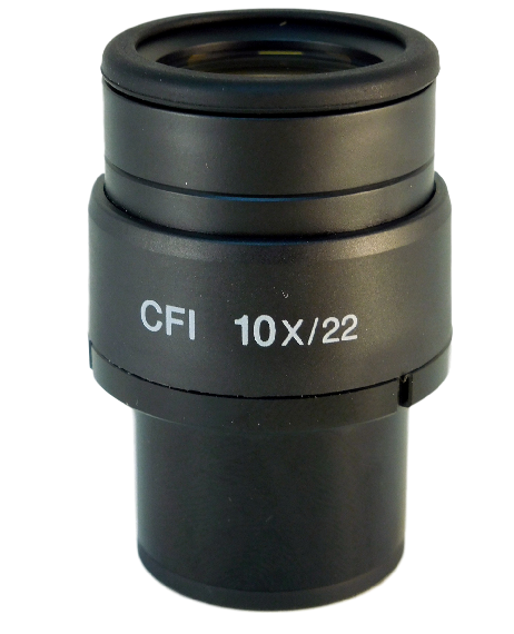 Nikon CFI 10x/22 Microscope Eyepieces - MAK10100