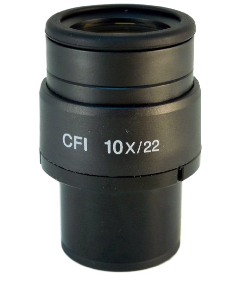 Nikon CFI 10x/22 Microscope Eyepieces - MAK10110 – Microscope Central