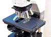 Nikon 80i Nomarski DIC Fluorescence Microscope