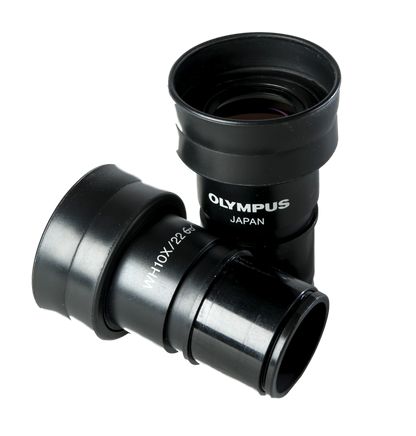 Olympus BX Series Binocular Head