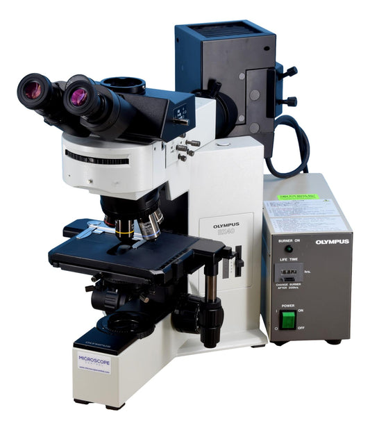 Olympus BX40 Fluorescence Microscope