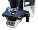 Olympus BX46 Microscope | Pathology Microscope | With Warranty ...