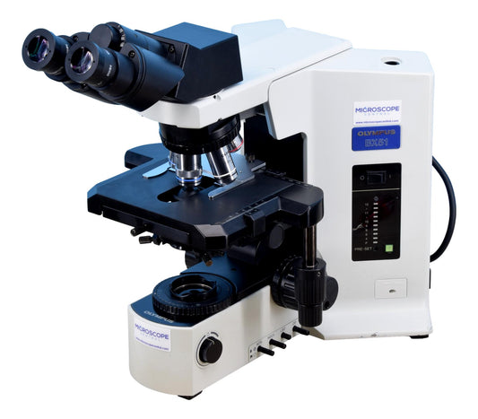 Olympus BX51 Hematology Microscope - Binocular