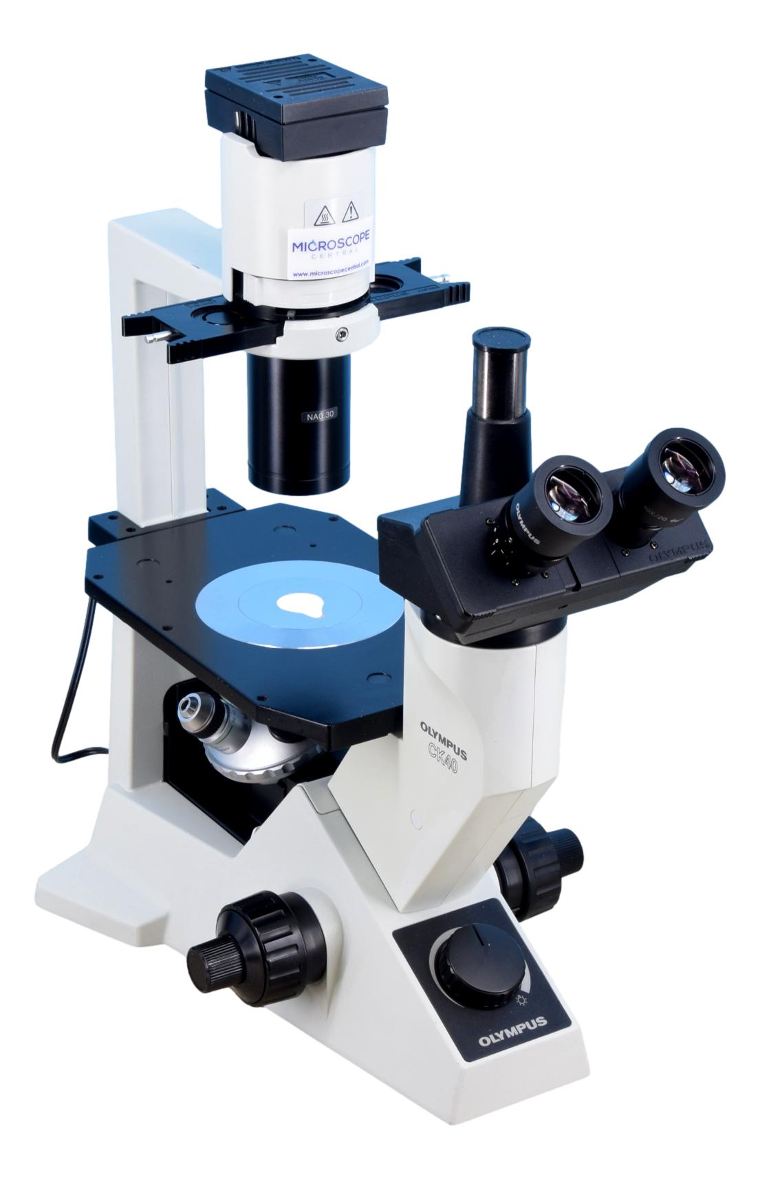 Inverted Microscope Olympus IX73 Inverted Microscope