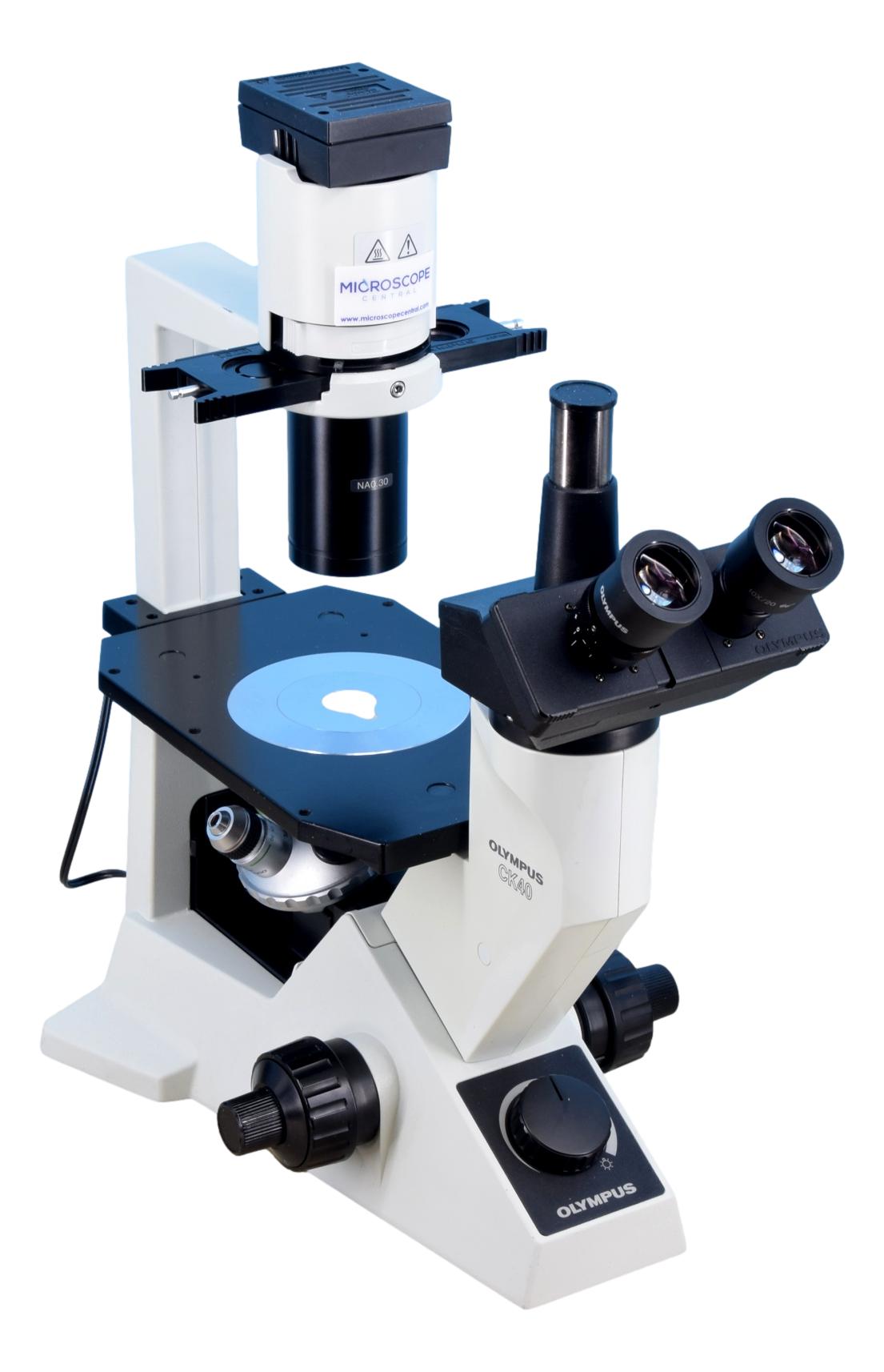 Olympus CK40 Inverted Phase Contrast Microscope