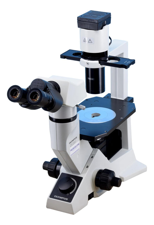Olympus CKX41 Inverted Phase Contrast Microscope - Binocular