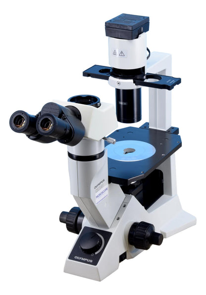 Olympus CKX41 Inverted Phase Contrast Microscope - Trinocular