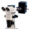 Olympus SZX12 Stereo Fluorescence Microscope