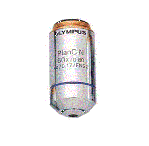 Olympus PlanC N 60x