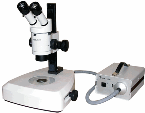 Wild M3Z StereoZoom Microscope On Transmitted Light Base