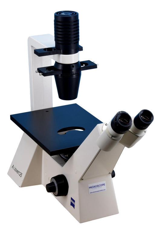 Zeiss Axiovert25 Phase Contrast Microscope