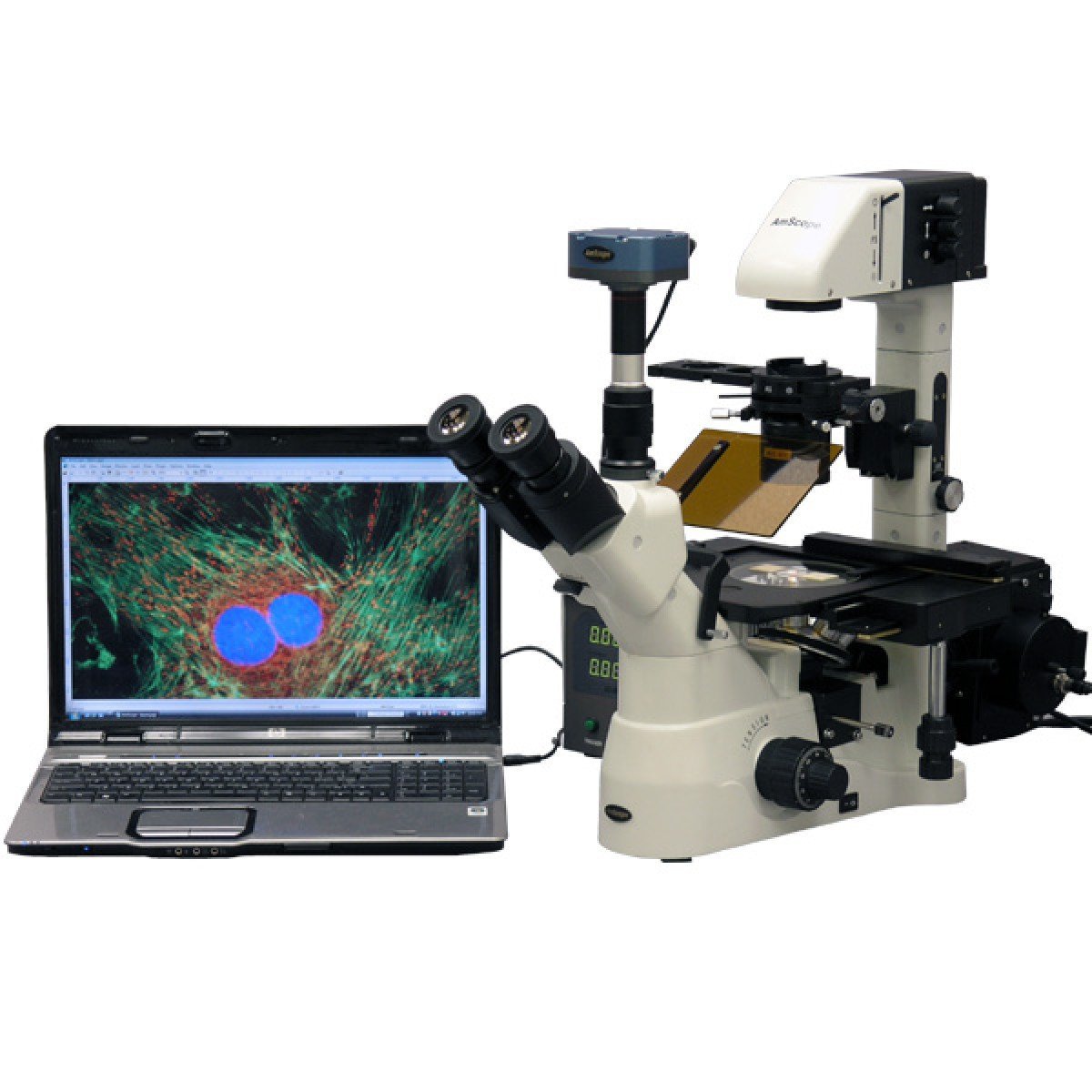 AmScope 1500X Phase Contrast Inverted Fluorescence Microscope + Fluo C ...