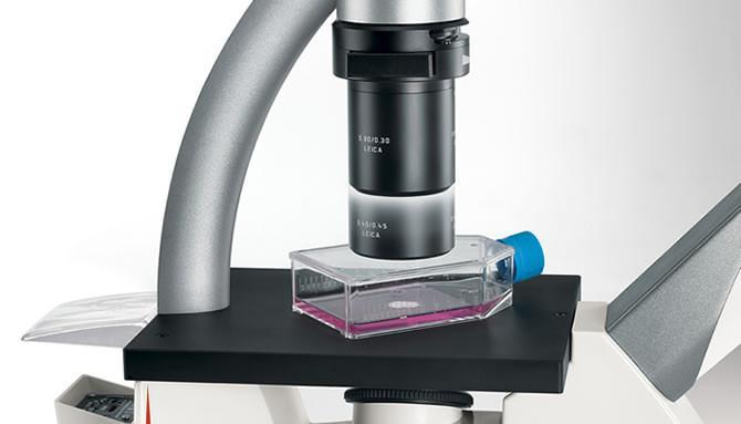 Leica DMi1 Inverted Phase Contrast Microscope - Microscope Central
 - 2
