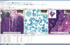 Motic Easy Scan Digital Slide Scanner