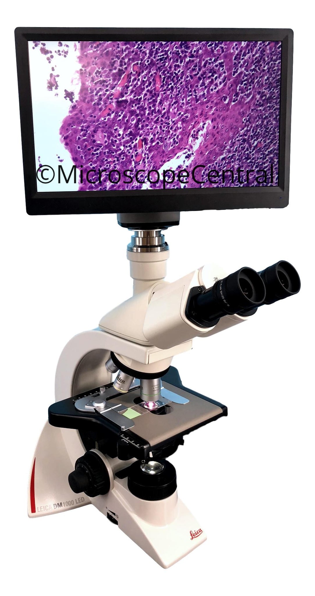 Leica DM1000 High Definition Digital Microscope