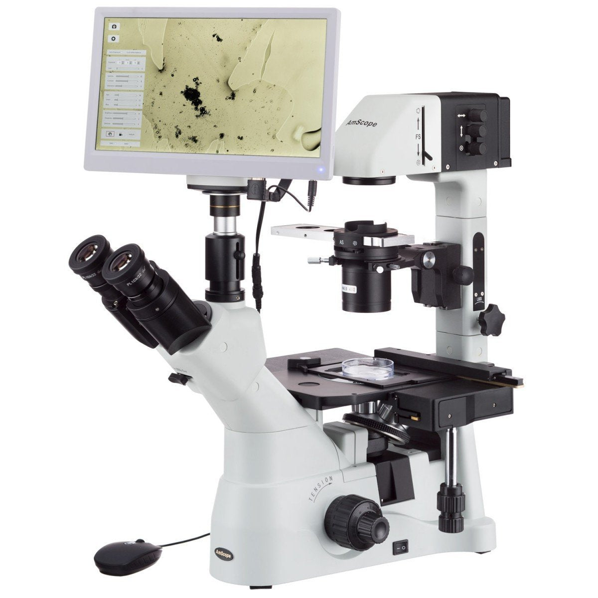 Tissue Culture – Microscope Central