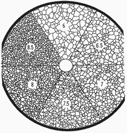 Untwinned Grains Plate 1B Reticle KR-808G