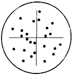 Chalkley Point Reticle Point Array 25 Dots- KR-823 – Microscope Central