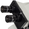 Eyepieces for Meiji ML5000 Microscope Series