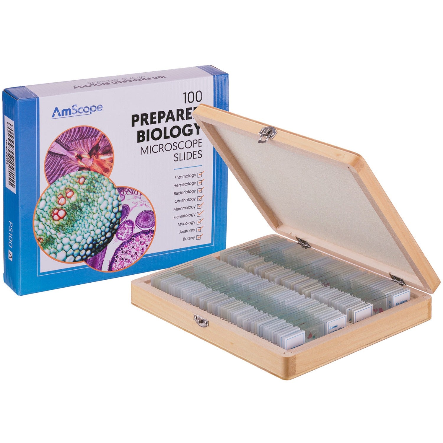Glass Microscope Slide
