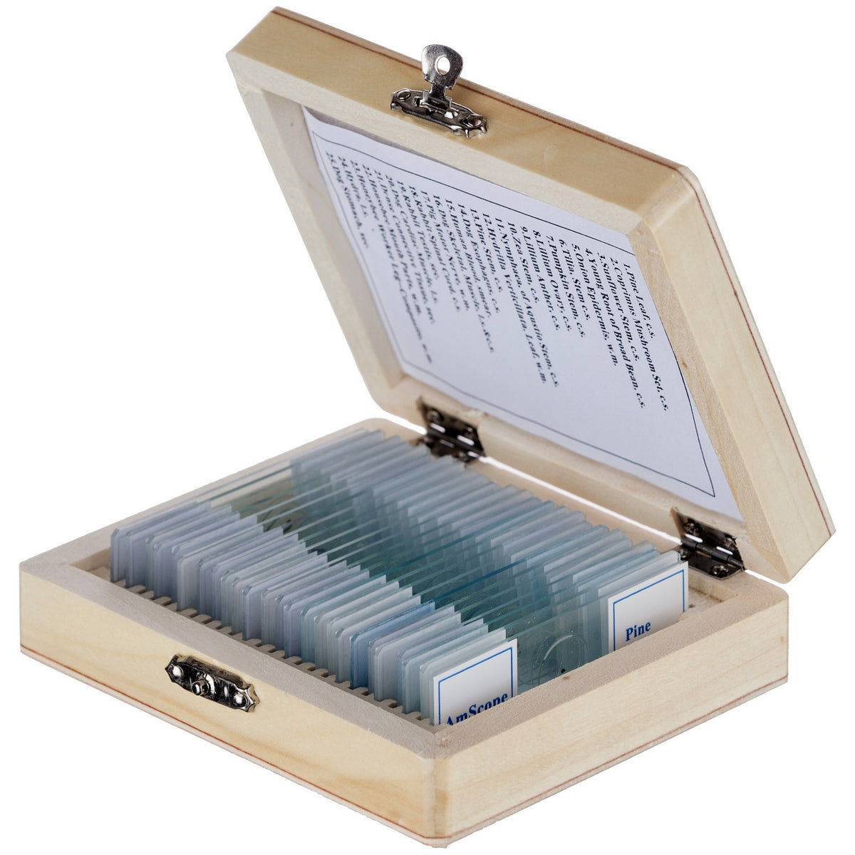 Boîte De Rangement En Bois Massif – 100 Lames De Microscope Préparées – Housse Avec Boucle Et Charnière Métal