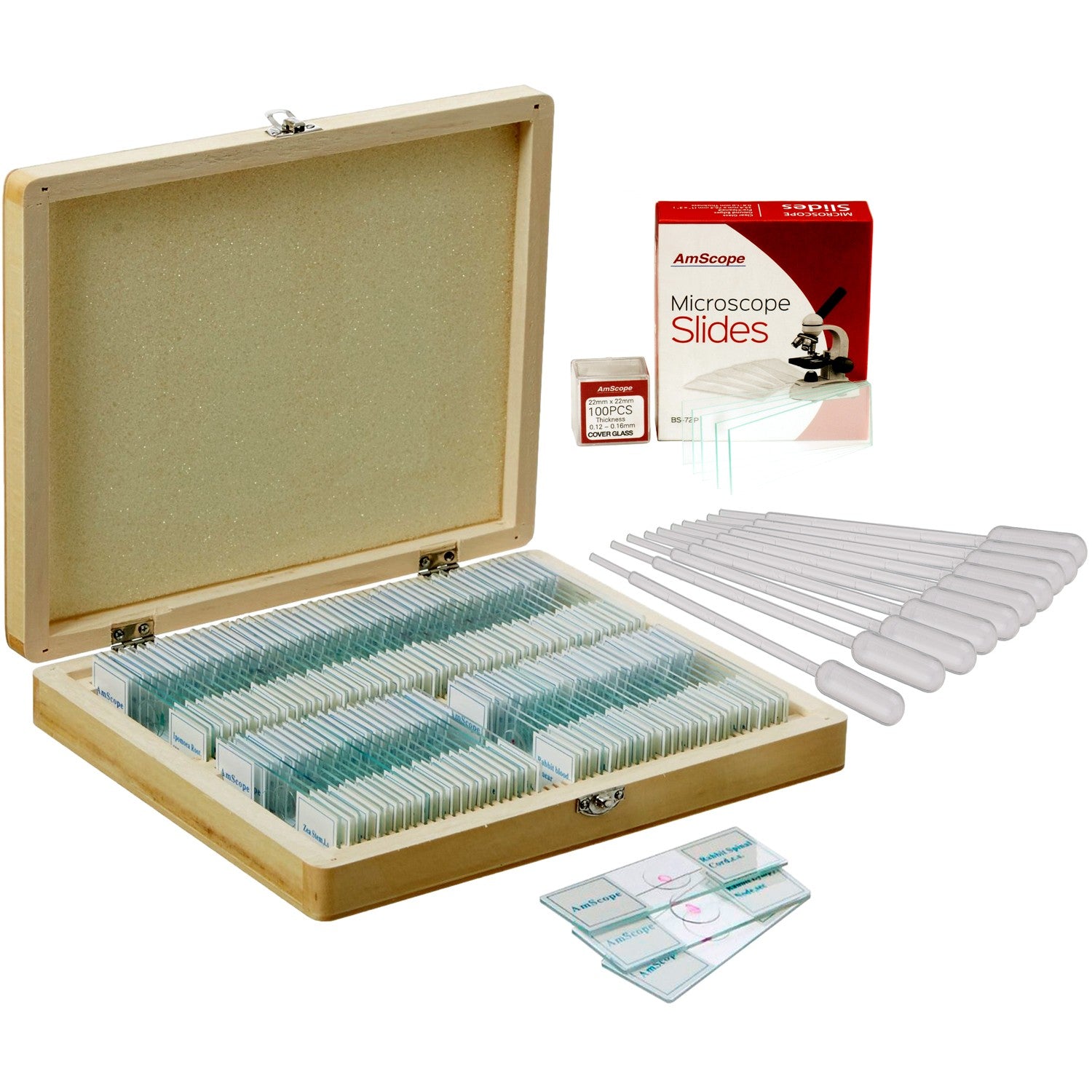 Microscope Slides for Sale | Microscope Immersion Oil – Microscope Central