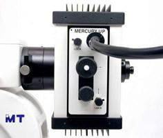 Meiji MT6000 Fluorescence Microscope Series - Microscope Central
 - 3