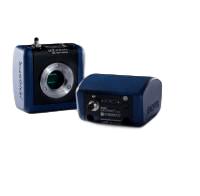 Jenoptik Gryphax Prokyon 20.7 MP Flagship CMOS Color Digital Microscope Camera