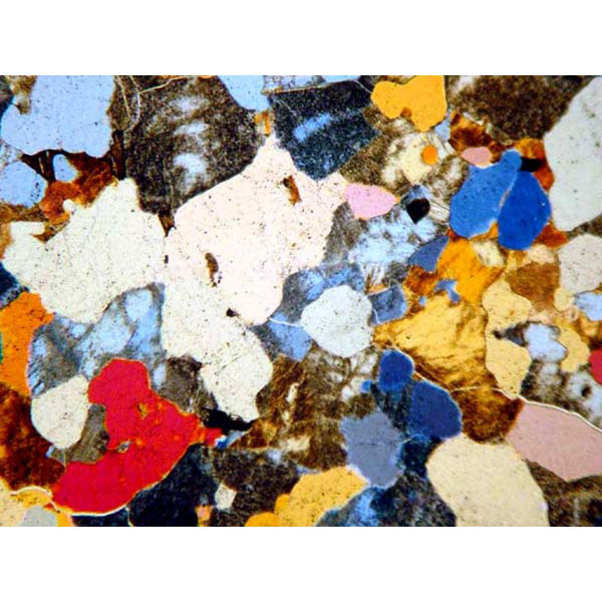 Hi Performance Microscope 50X-500X High-performance Upright Polarized-light Microscope ...