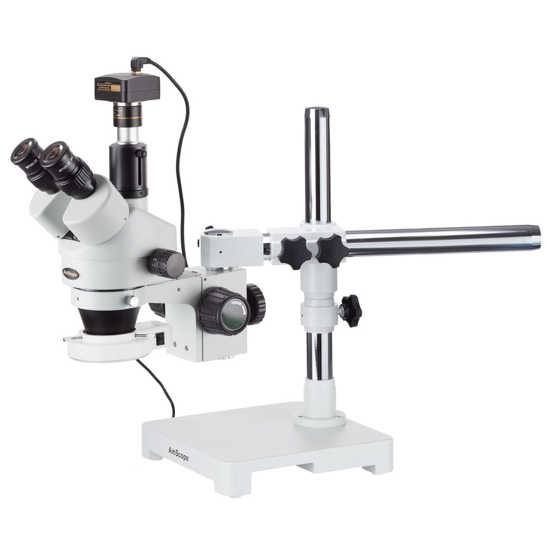 Dissecting Microscopes | Microscope Central